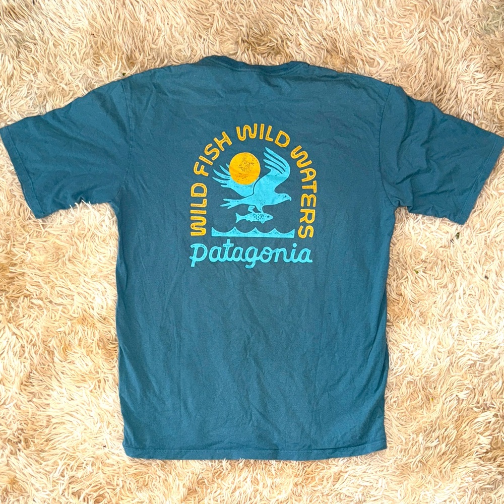 Patagonia Teal T-Shirt with Graphic Design - S